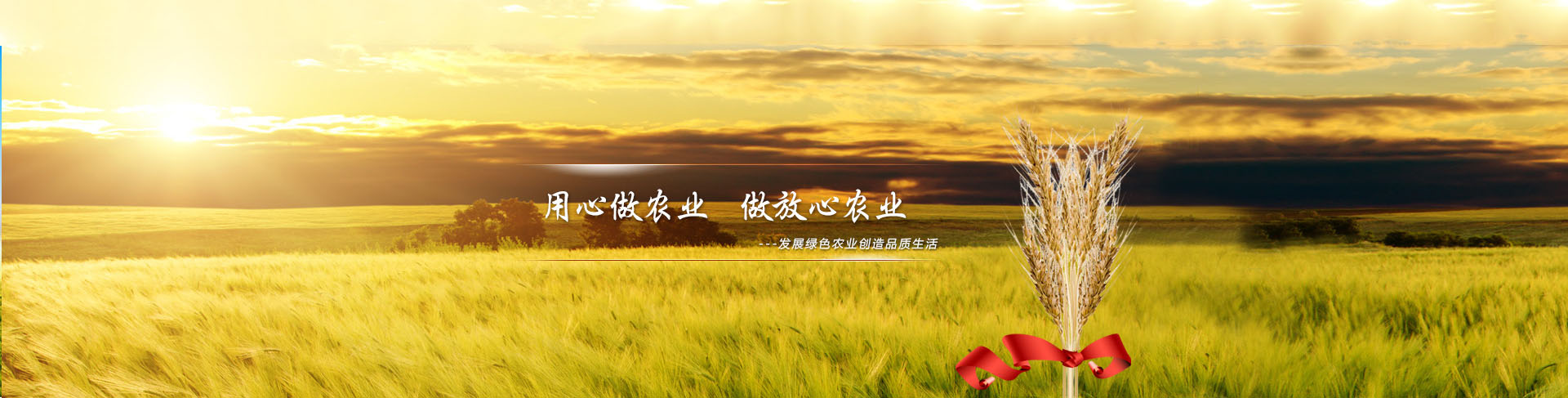魯豐農業